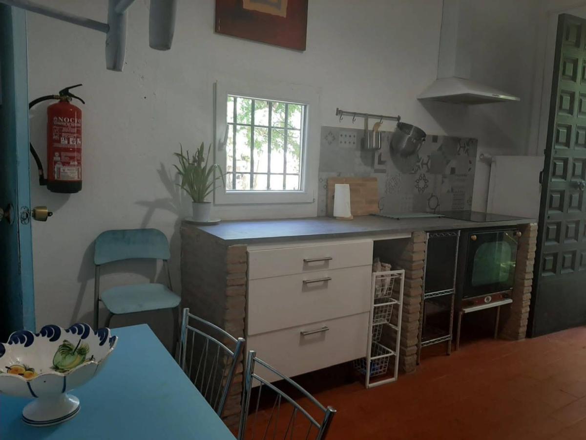 Finca El Naranjo إشبيلية المظهر الخارجي الصورة