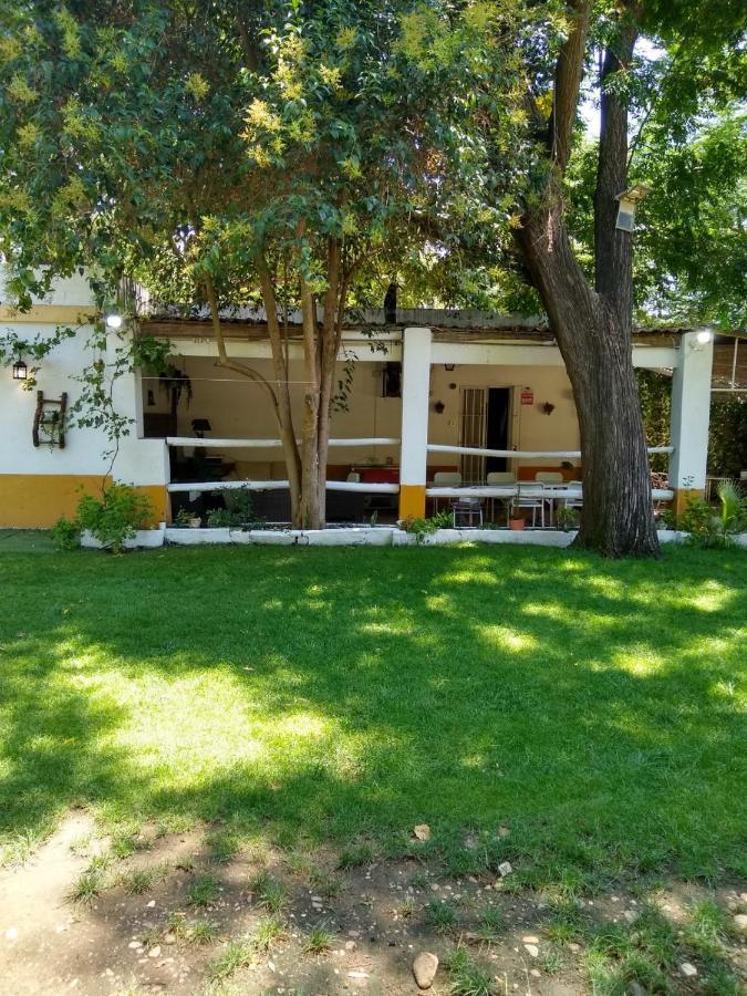 Finca El Naranjo إشبيلية المظهر الخارجي الصورة