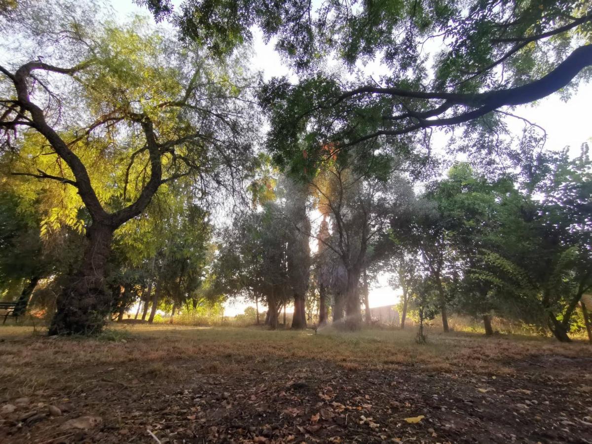 فيلا Finca El Naranjo إشبيلية المظهر الخارجي الصورة